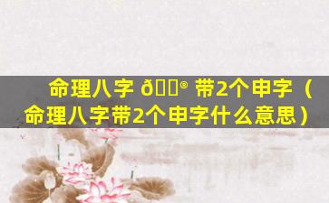 命理八字 💮 带2个申字（命理八字带2个申字什么意思）